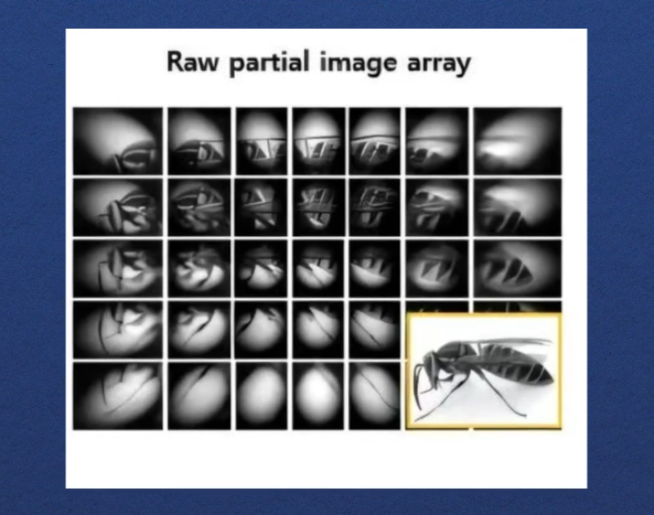 厚度仅0.94毫米！超薄仿生相机能实现140&deg;超宽视角