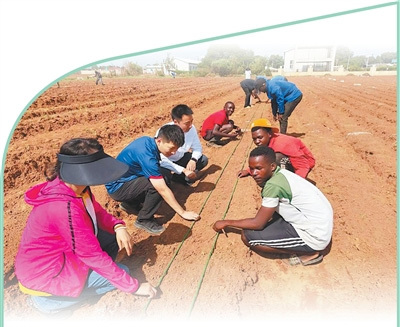 赞比亚大豆科技小院专家指导当地农业技术人员划区播种大豆。　　黄晓东摄
