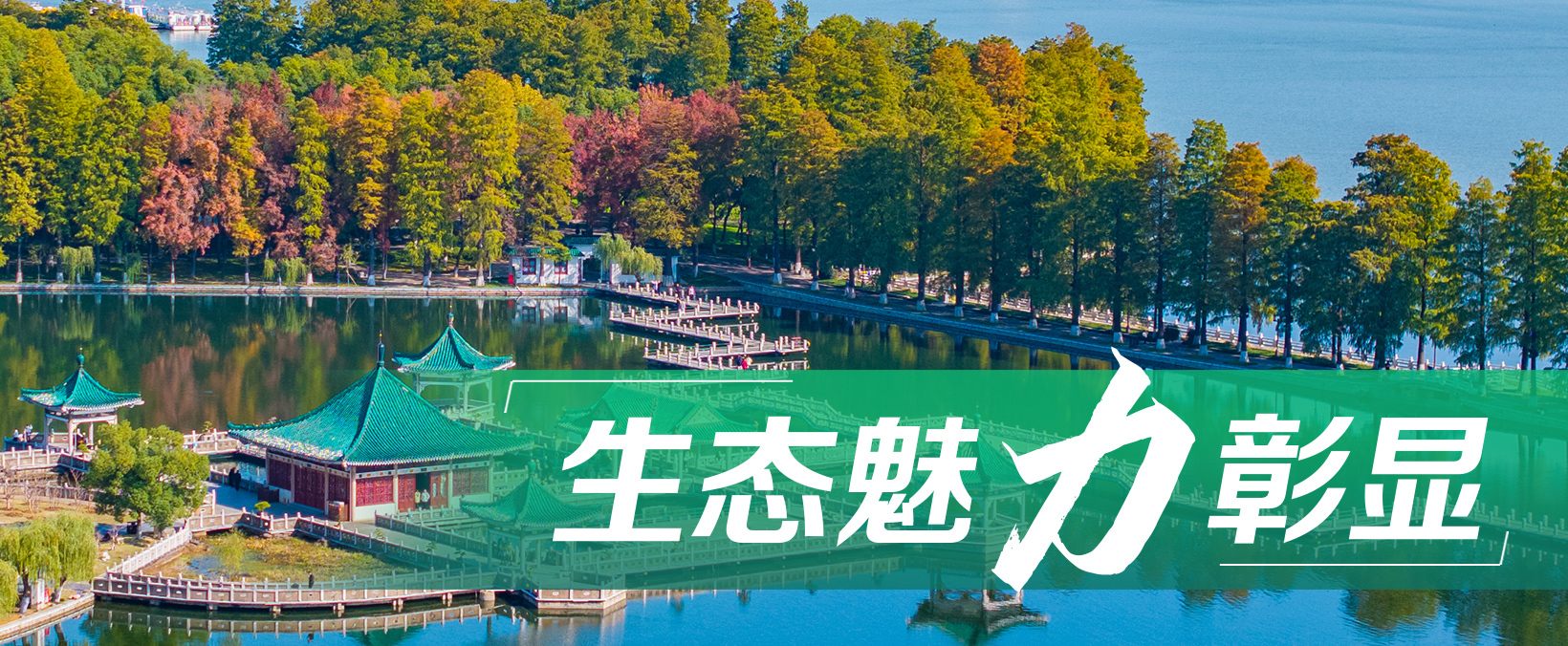 牢记总书记的嘱托丨积小胜为大胜，目标就一定能实现