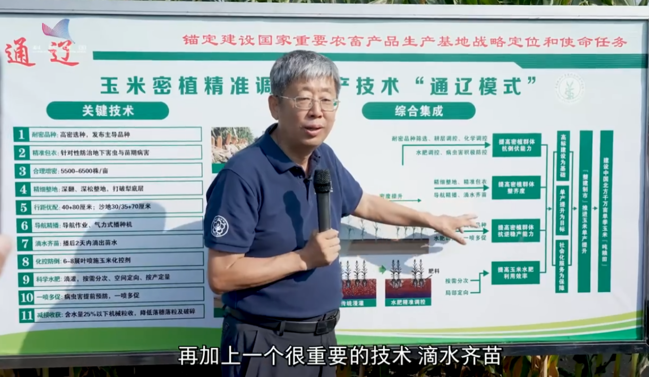 全国粮食安全宣传周|玉米“吨粮田”里的科技密码