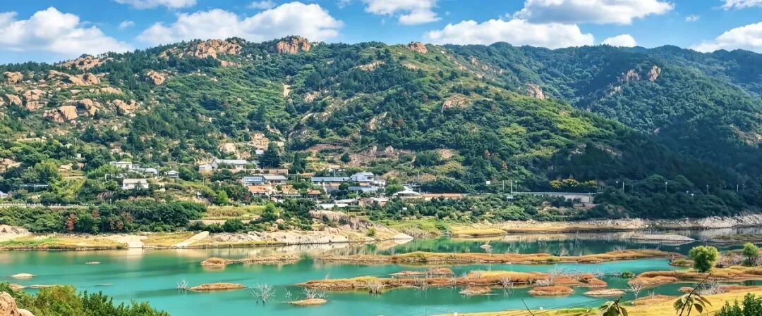 高飞1.jpg