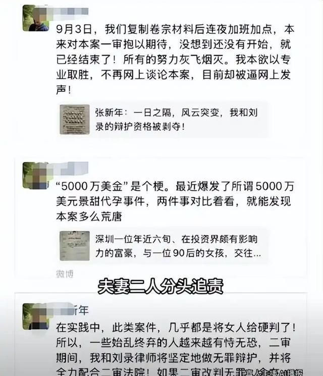 反转!富豪送小三入狱14年真相曝光,女方设局骗千万,细节炸裂