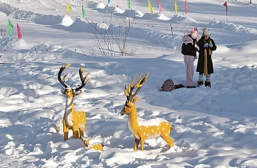 冰天雪地里,最北之村正热腾呢——黑龙江漠河北极村发展特色产业的故事