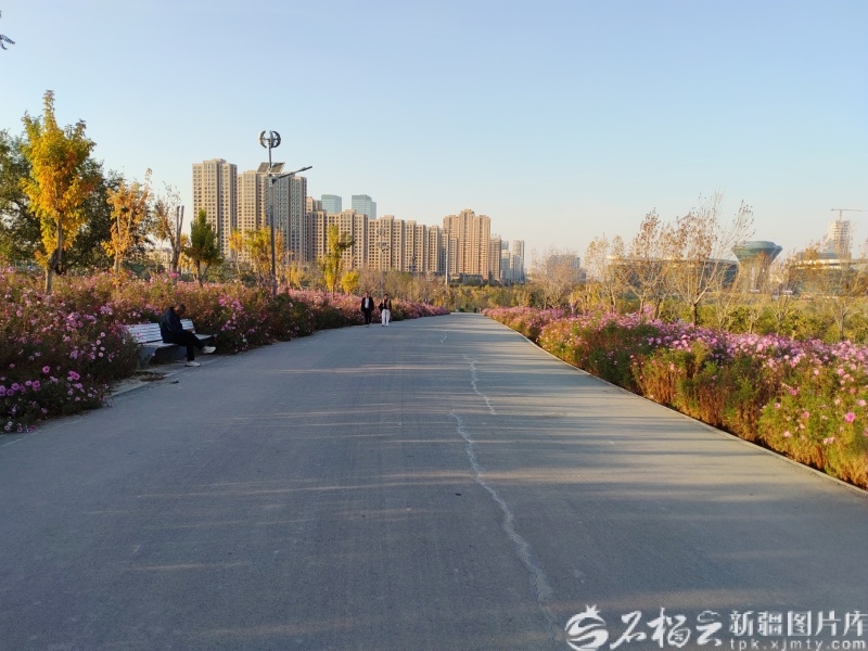 IMG_20261014_182213