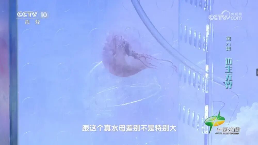 ● 西工大团队研制的仿生机器人