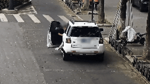 gif.gif