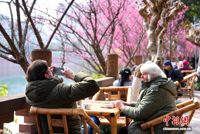 成都街头的众多茶馆,成为外籍人士“city walk”的必去之地。记者 安源 摄