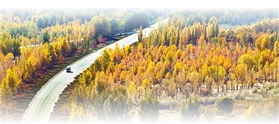 坚持“双碳”引领，推动全面绿色转型（稳中求进、提质增效 实现“十五五”良好开局）