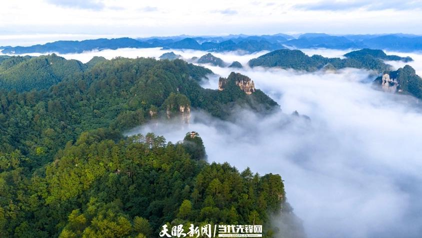 世界自然遗产地施秉云台山,云雾缭绕,景色如画。磨桂宾 摄