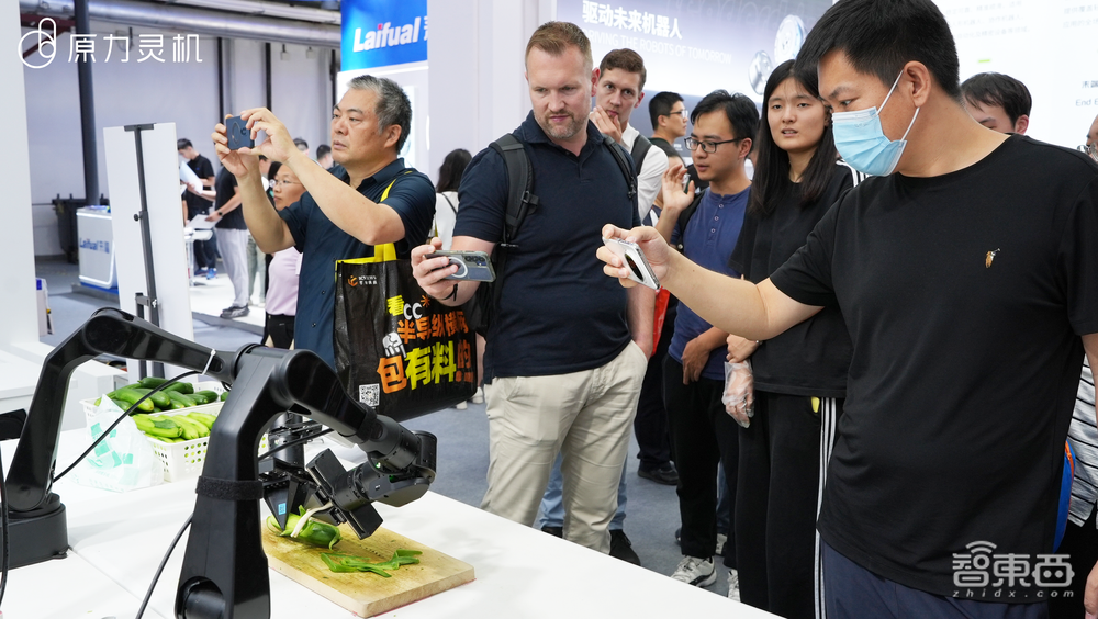 WRC观察：跳舞潮渐退，模型正在走向C位