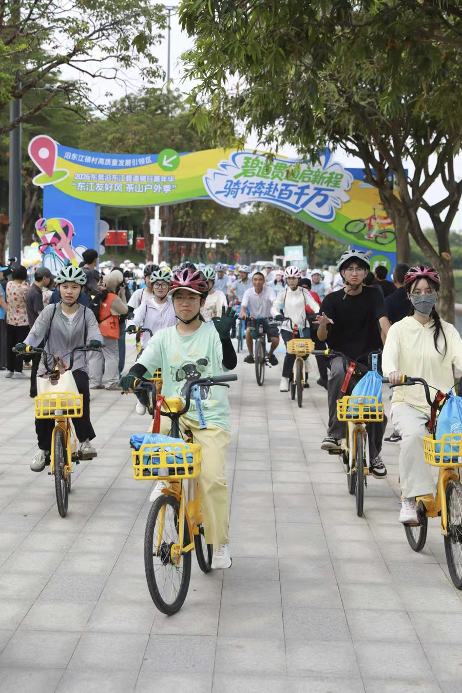 图片 5.jpg