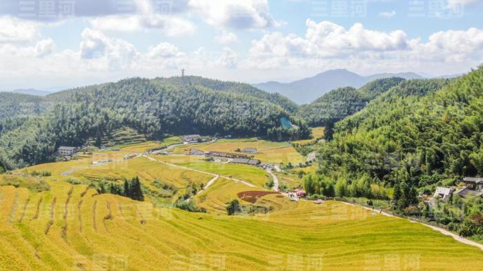 世界粮食日，航拍位于江西赣州崇义县的上堡梯田，秋收时节，层层叠叠的金色稻浪翻滚，“丰”景美如画。中新社记者 刘力鑫 摄(无人机照片)