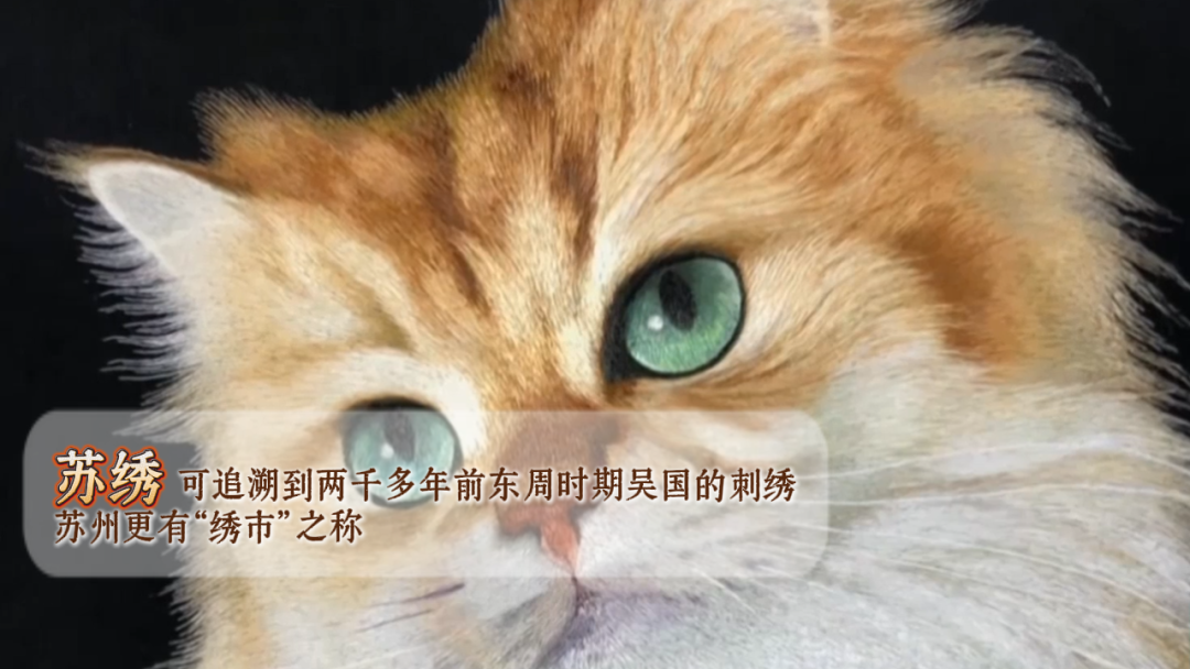 微信图片_20260930221653_185_64