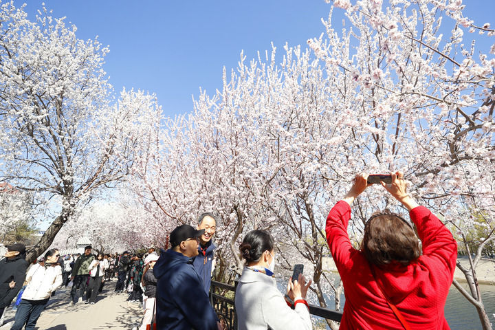 3月20日，天津市红桥区北运河畔，市民游客漫步“桃花堤”，一览春色。新华社发