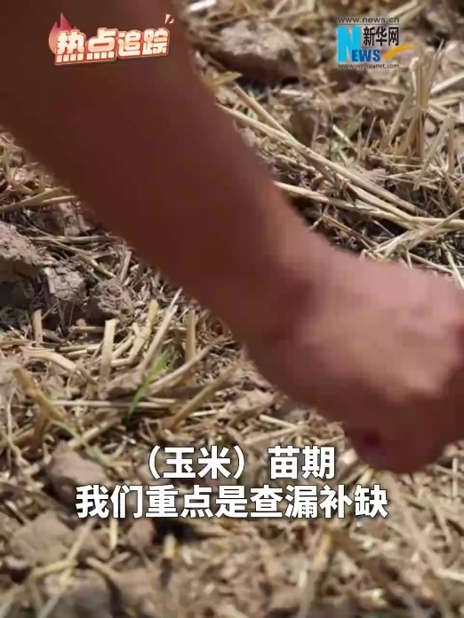 热点追踪｜“三夏”到底是啥？为啥这么重要？