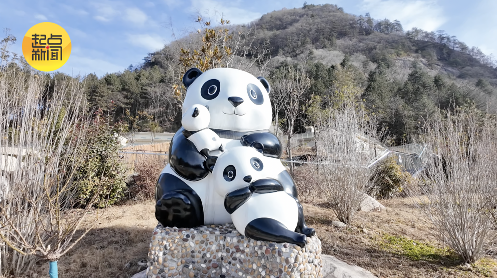 秦岭大熊猫佛坪救护繁育研究基地