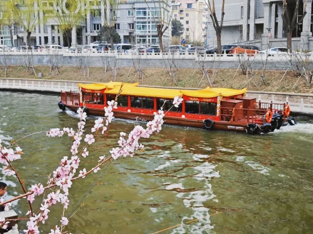 开航！动物园⇋颐和园