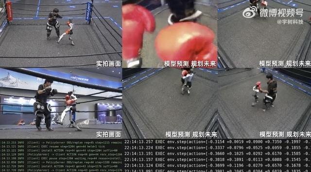 人形机器人在擂台上开展自主搏击演示