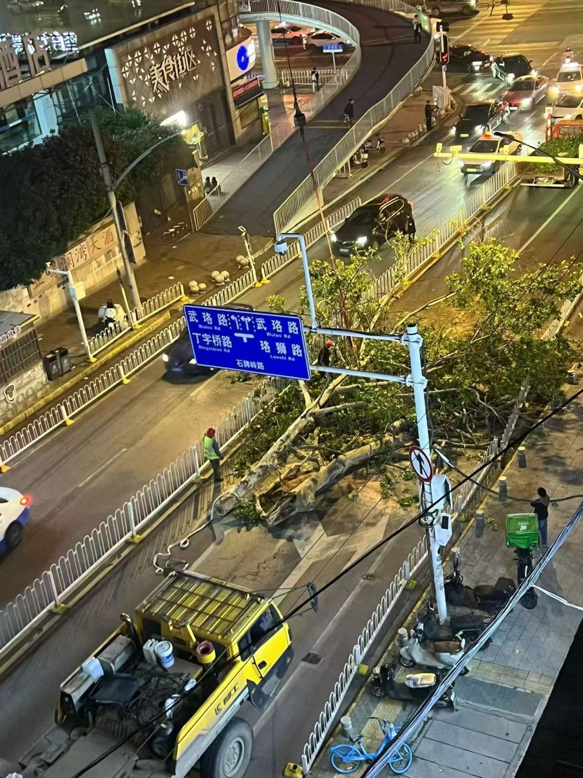 吊离大树现场1.jpg