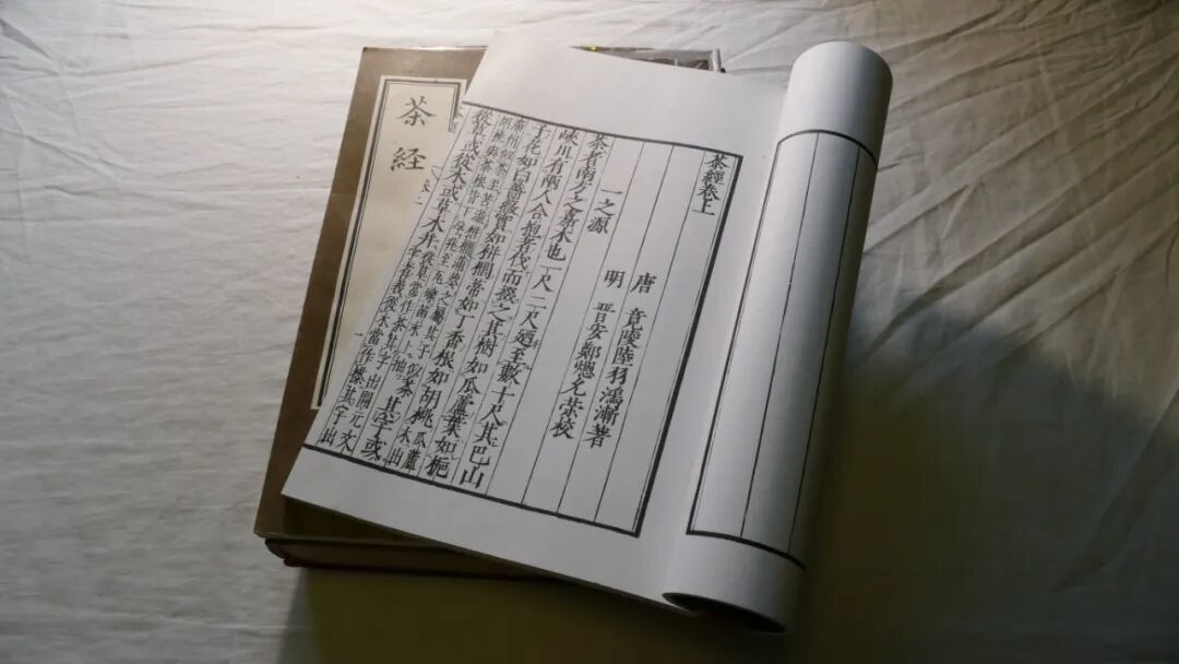历史渊源-茶经著述“其巴山峡川,有两人合抱者,伐而掇之”.JPG