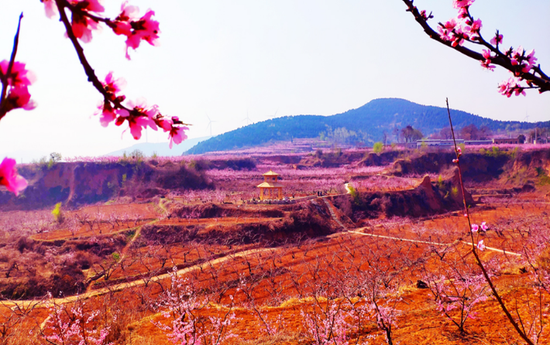 图2:十万亩桃园精品观赏区