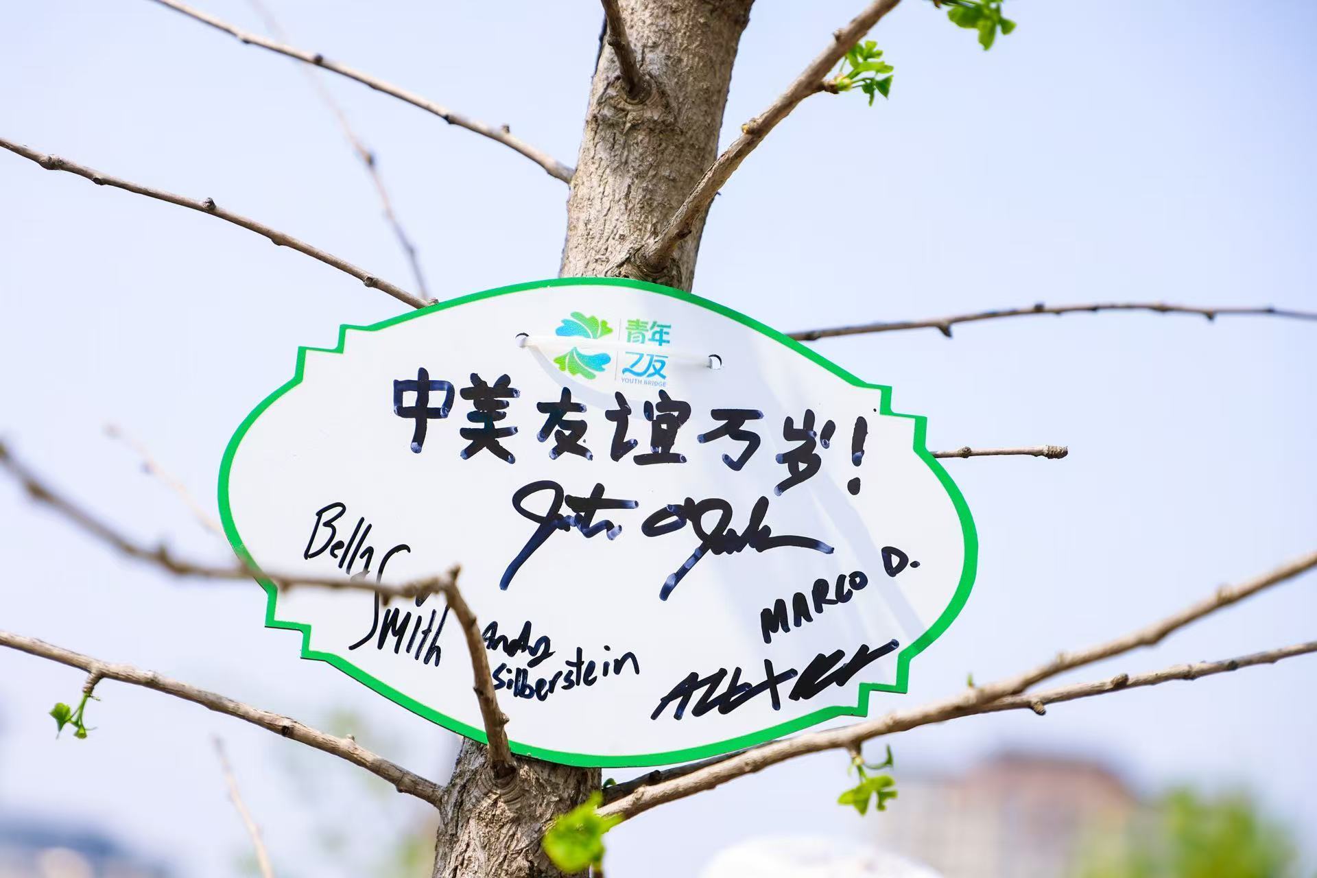 中美两国青少年在正定园博园共植友谊树