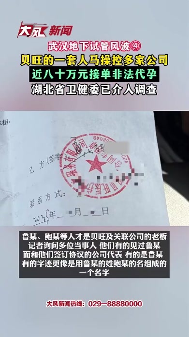 贝旺的一套人马操控多家公司 近八十万元接单非法代孕 湖北省卫健委已介入调查
