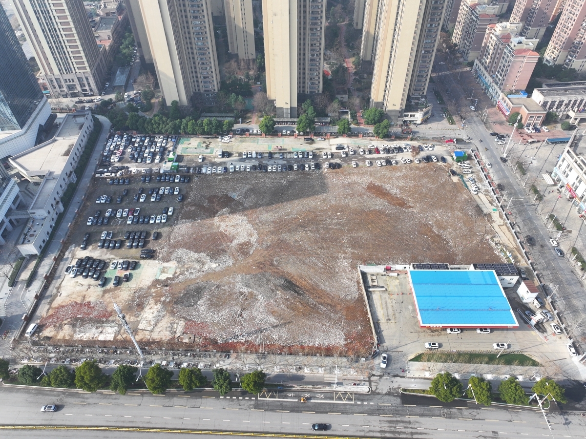 2.武丰村C2地块菜地整治后.jpg