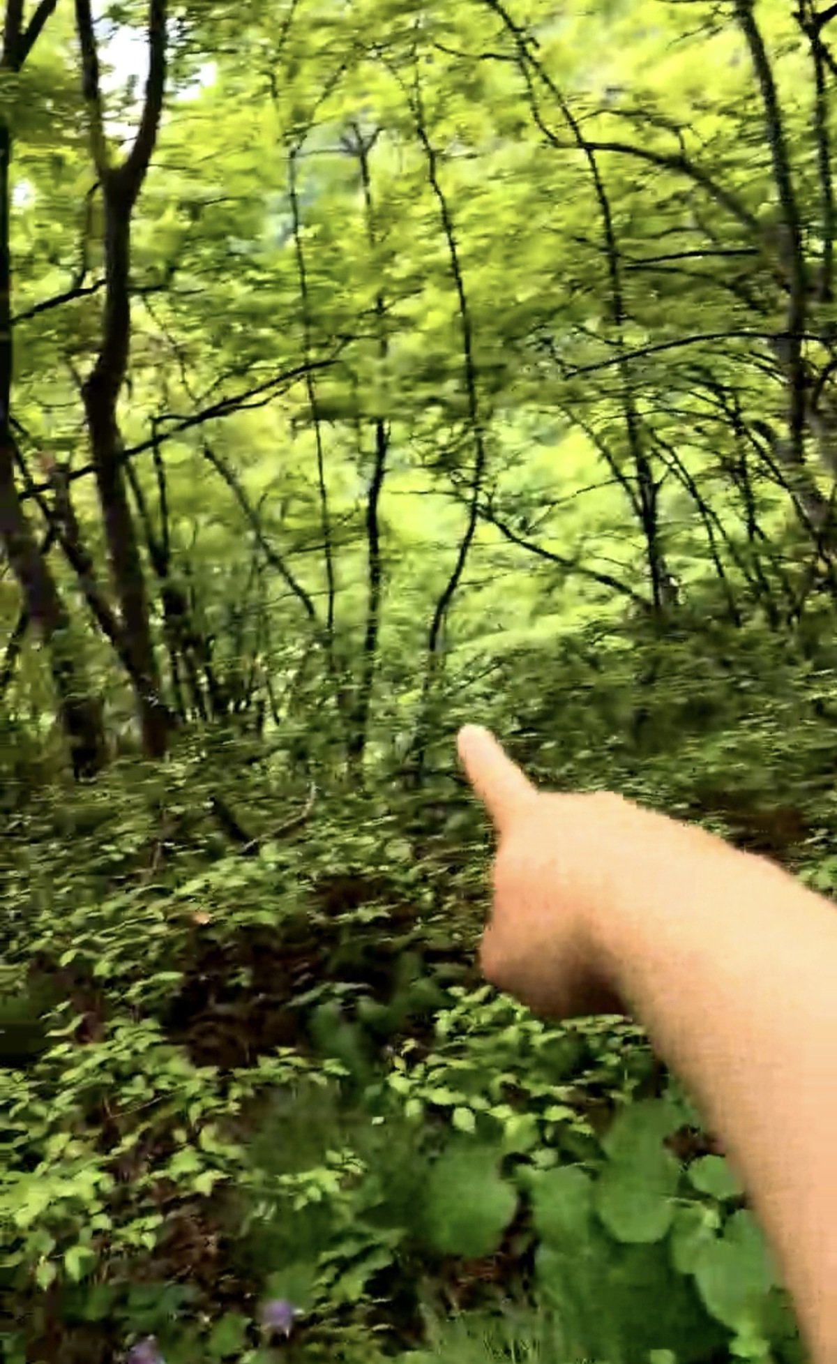 3d354df159dc0df5ce77c9d4ce7fe879.jpg