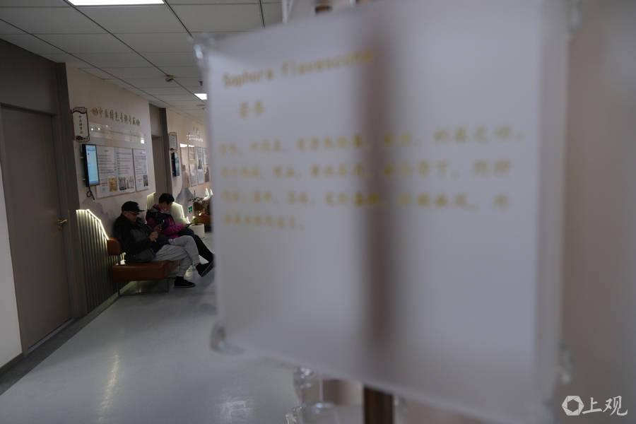 社区卫生服务中心里的中医药文化展示