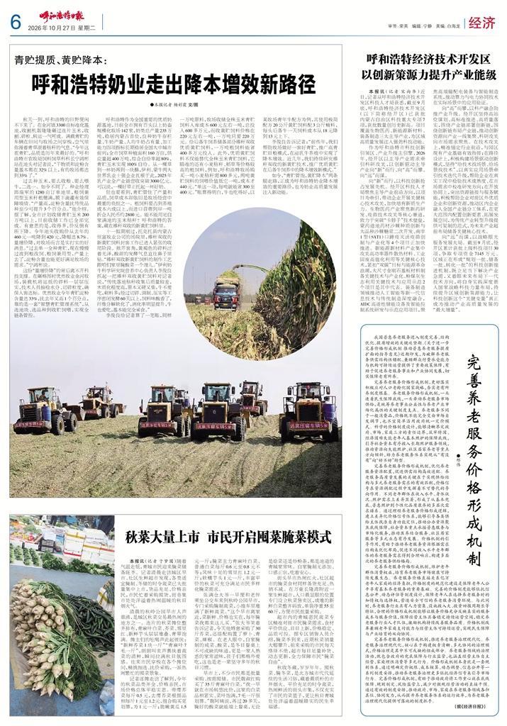 报纸版面