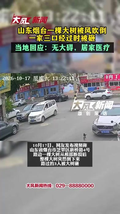 山东烟台一棵大树被风吹倒，一家三口经过时被砸；当地回应：无大碍，在家休养