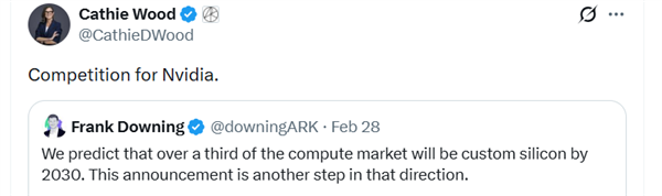 别只盯着英伟达了！ARK预测：定制芯片才是未来的大玩家