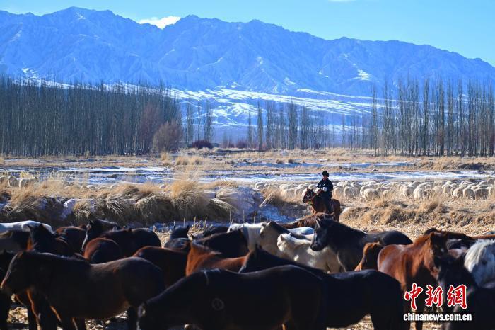 1月6日，其乌抠与自家马儿在草场漫步。李亚龙 摄