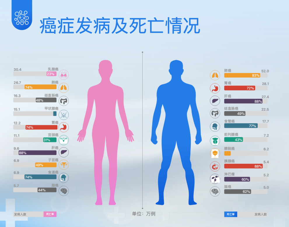 图片 7