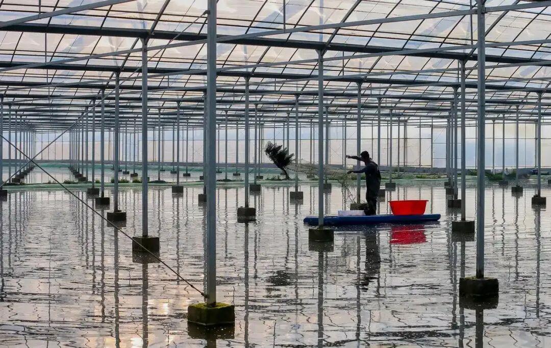 △江苏盱眙龙虾国家级现代农业全产业链标准化示范基地