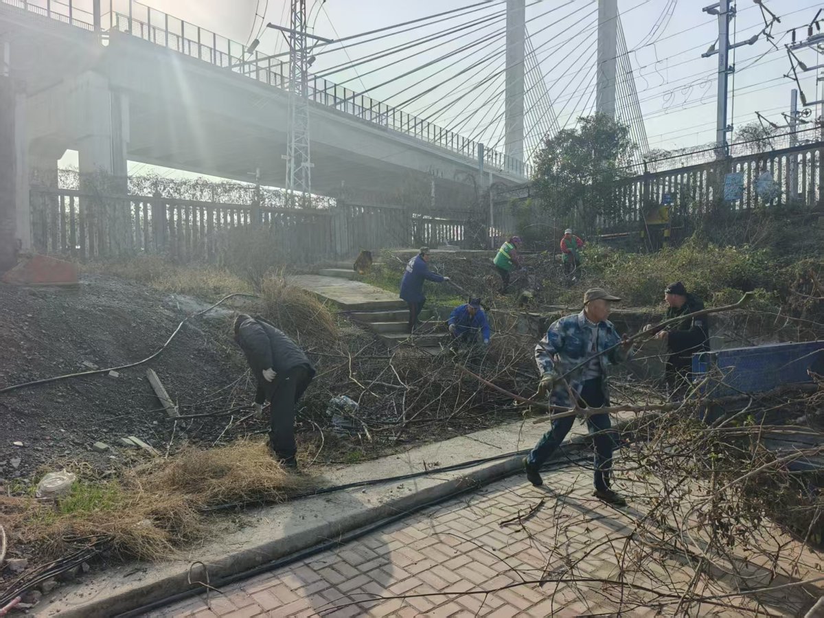 园艺公司开展绿化区域综合整治.jpg