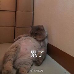 #天气会商开始了# 走过路过记得关爱过气小编[拜托][拜托] #广州