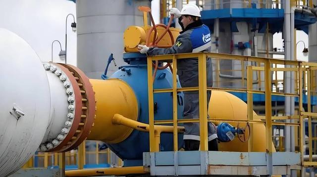 法国烧完意大利失控！仅一天2000人疯狂打砸，梅洛尼铁拳生锈了？