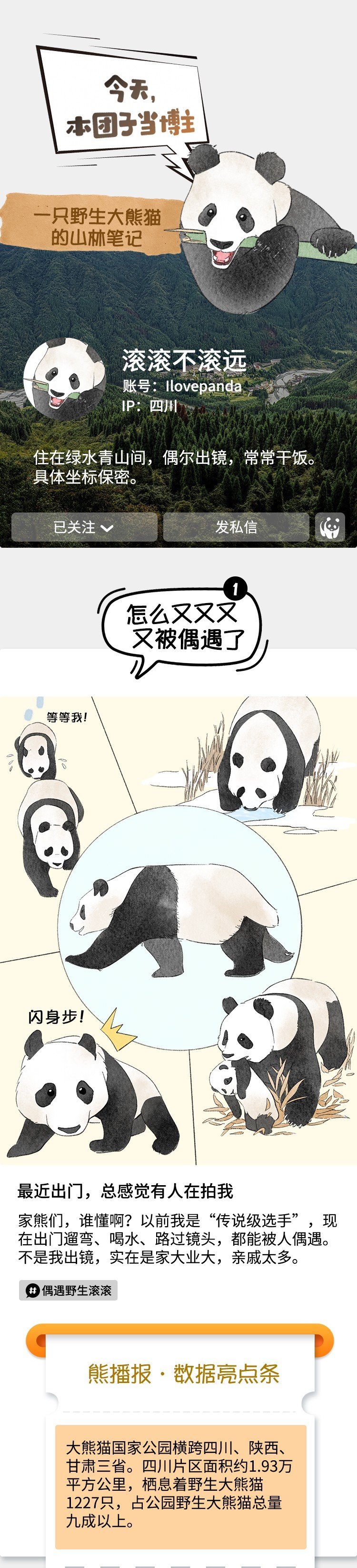 【#如果四川大熊猫当一天博主#】#来看四川野生大熊猫的朋友圈#四川是