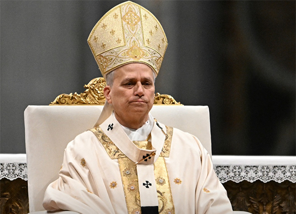 罗马教皇利奥十四世 社交媒体