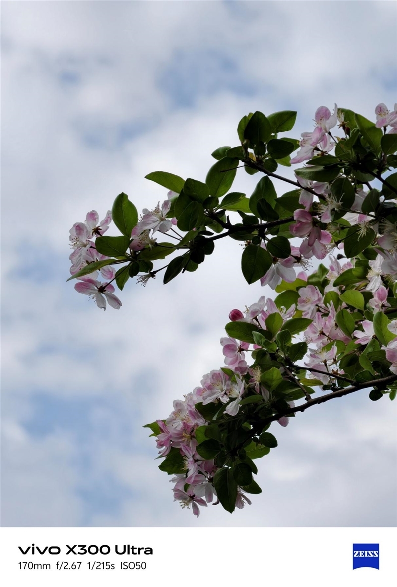 14-400mm终极全焦段!vivo X300 Ultra手机全面评测:依然是年度影像机皇