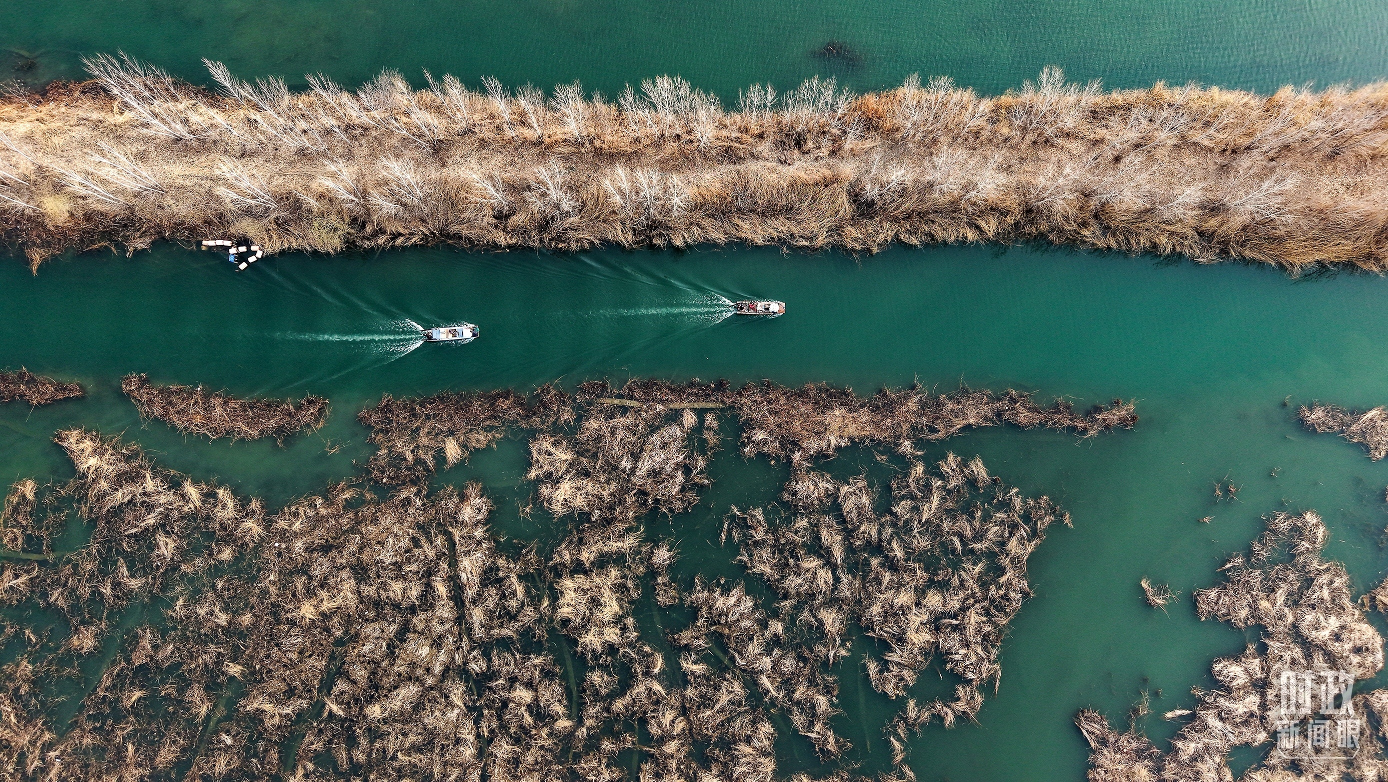 △白洋淀。（总台记者李晋拍摄）