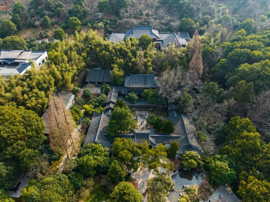 摄图网_700897378_杭州超山探梅_(企业商用).jpg