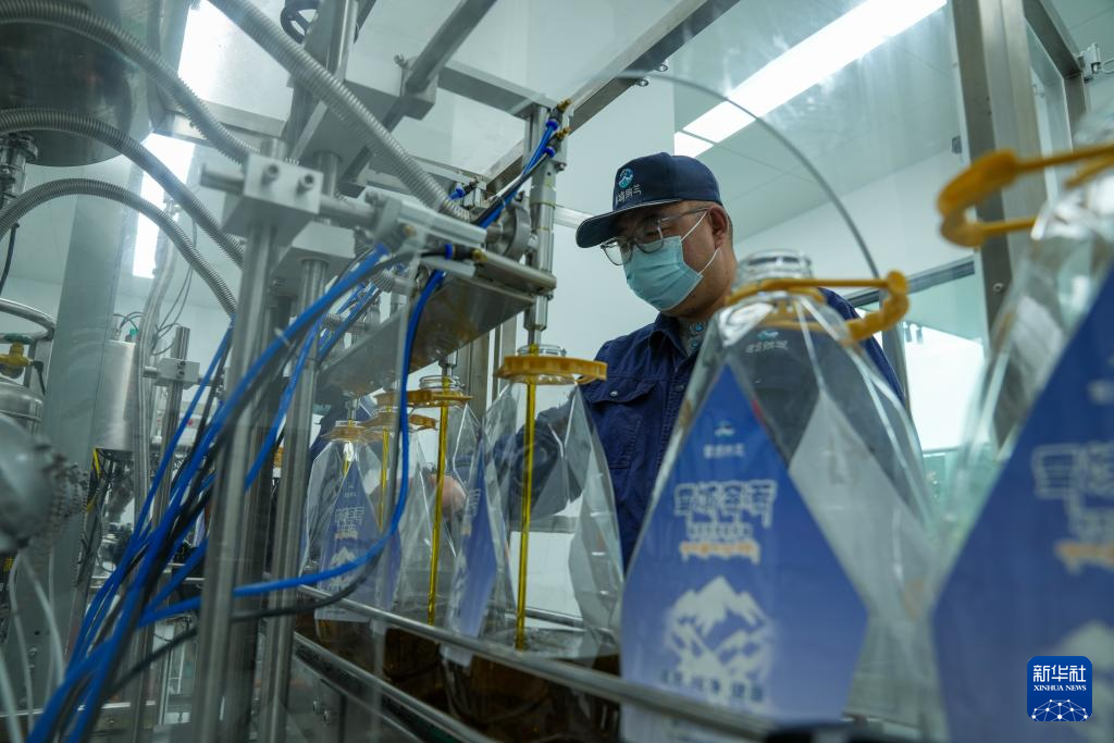 西藏山南市扎囊县重点招商引资企业——西藏纳兰生态产业有限公司工作人员在灌装菜籽油（3月17日摄）。新华社记者 晋美多吉 摄