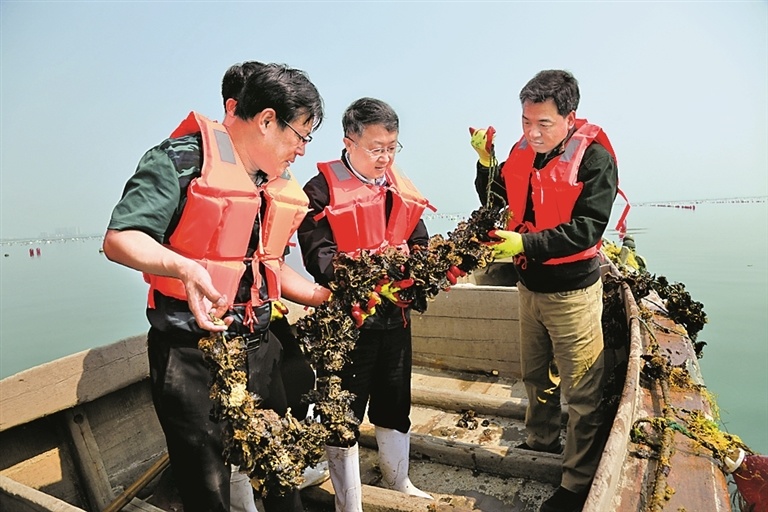 蓝色种子 逐浪生长——我国“蓝色种业”发展情况调查
