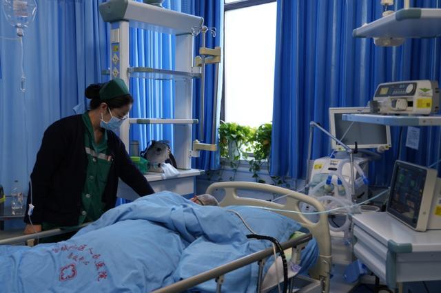 在急诊医学科，医护人员始终坚守岗位、连续奋战，争分夺秒救治患者。