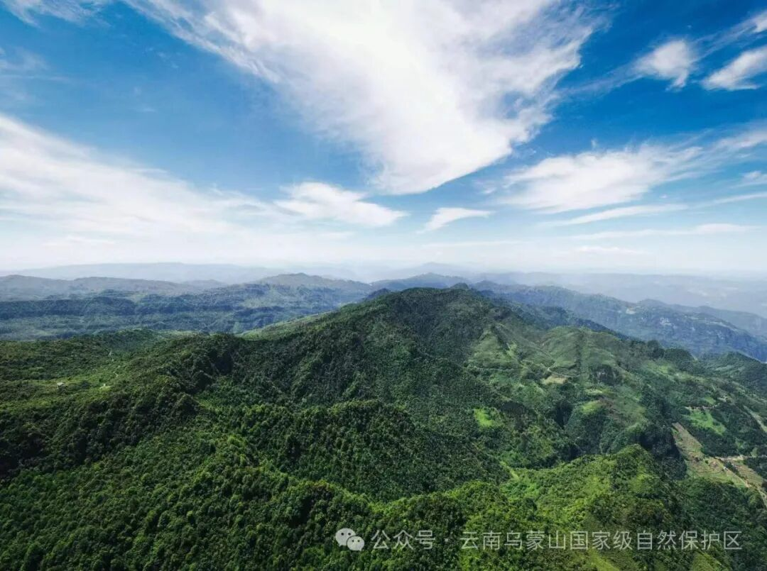 朝天马片区