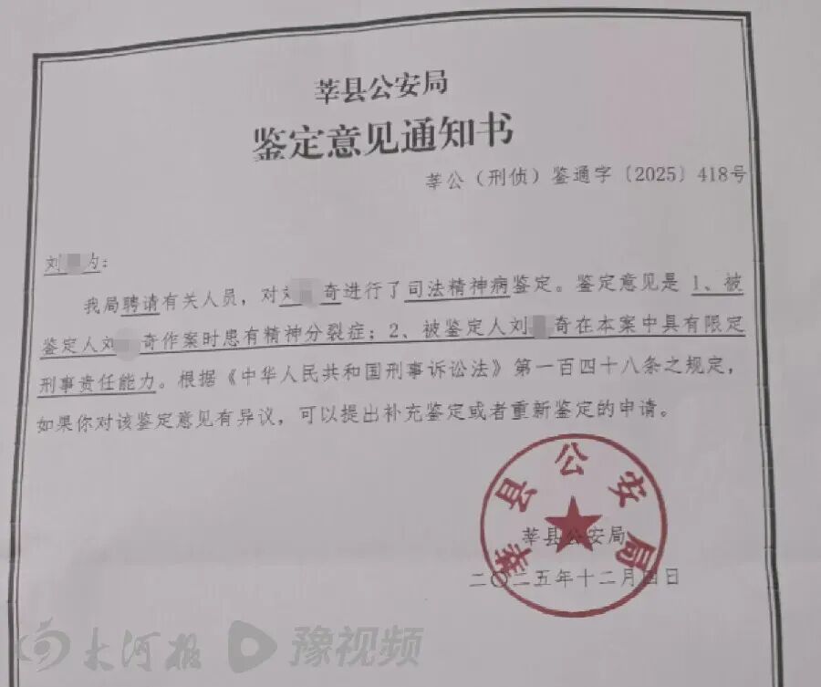 刘某奇第一次精神鉴定结果,受访者供图