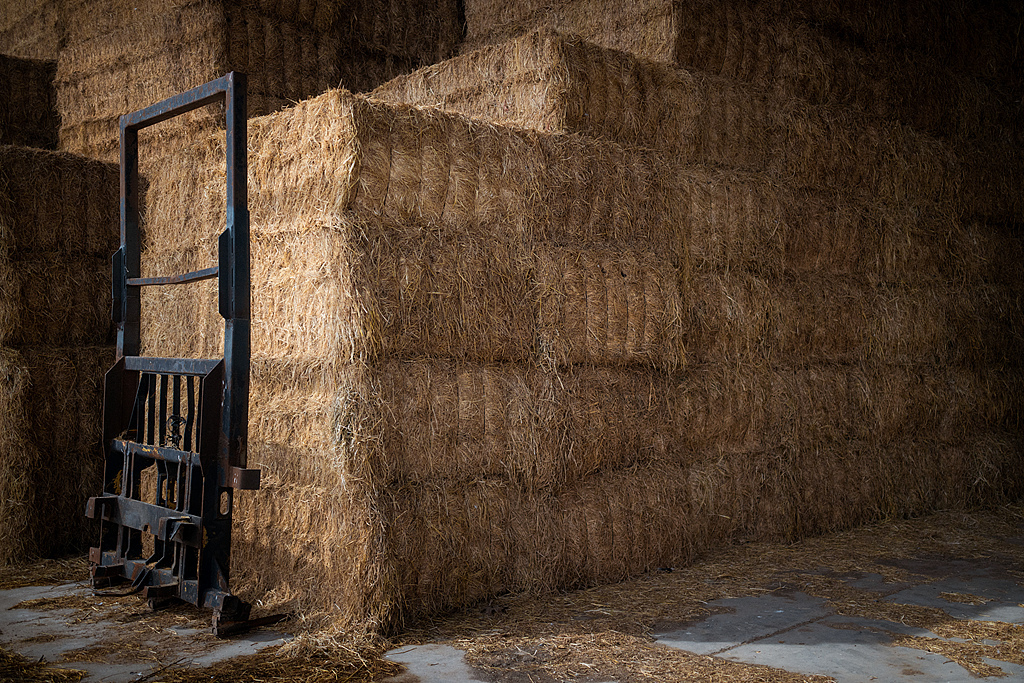 中东局势致农业成本飙升，图为西班牙莱里达阿尔卡拉萨斯，一处苜蓿仓库。（视觉中国）